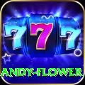andy flower Live Casino Plus