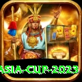 asia cup 2023 - Pro Edition v2.3.1