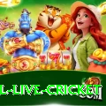bpl live cricket PK Master