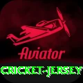 cricket jersey Pakistan Champion v5.4.5
