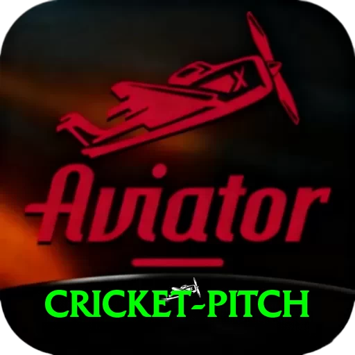 cricket pitch - Live Max - 2