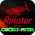 cricket pitch - Live Max