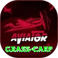 grass carp - Gaming Supreme