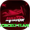 hong kong cricket team - Champion v2.5.9