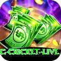 icc cricket live PK Plus