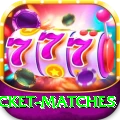 india upcoming cricket matches Game Turbo v3.7.2