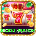 international cricket match Game Royal v1.7.7