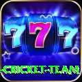 ireland cricket team Casino Master v1.0.4