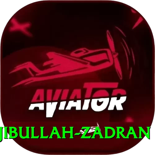najibullah zadran - Deluxe Edition v3.0.2 - 2