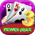 PKWin - VIP v4.0.5
