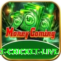 smart cricket live Prime Casino App