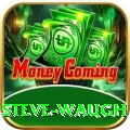 steve waugh Plus Slots