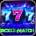to day cricket match - Extreme v4.6.1
