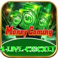 watch live cricket Premium PK v4.4.0
