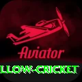 willow cricket Extreme Gaming App